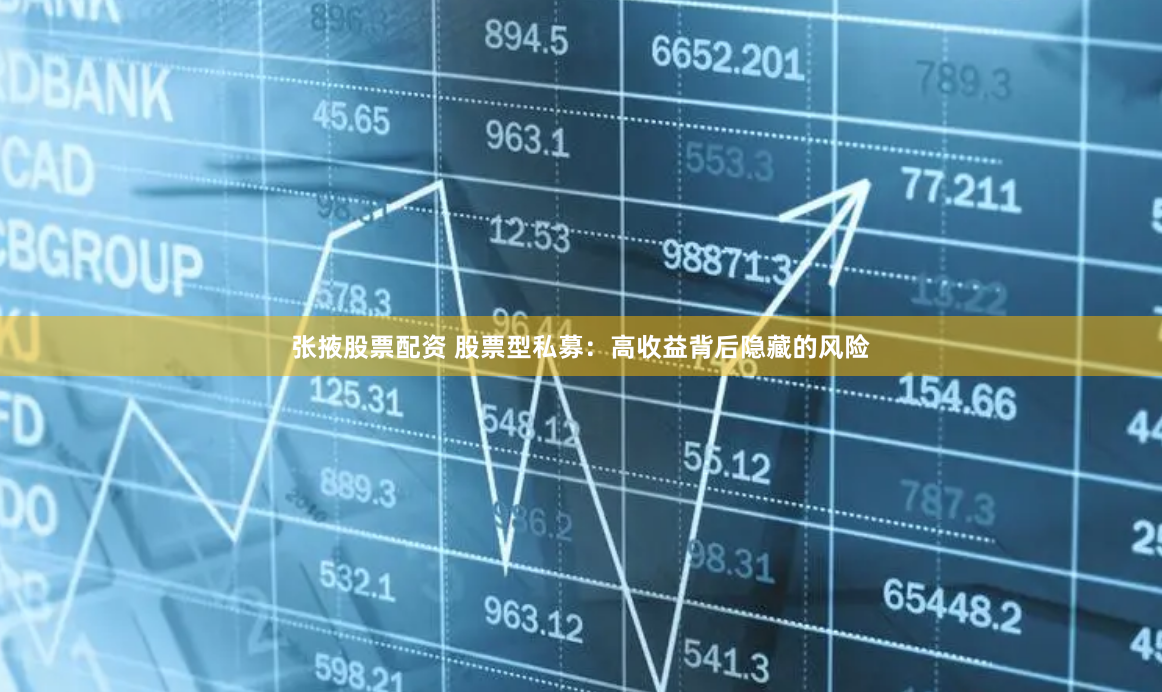 张掖股票配资 股票型私募：高收益背后隐藏的风险