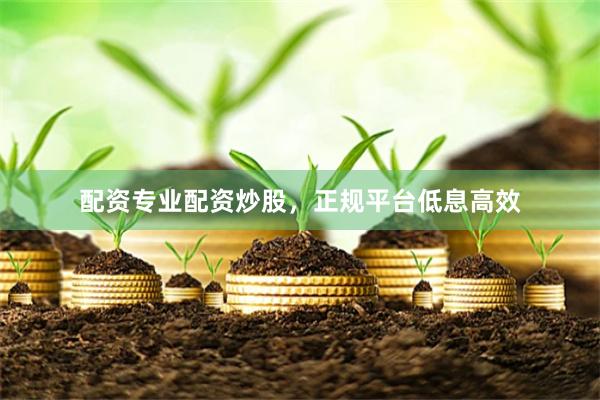 配资专业配资炒股，正规平台低息高效