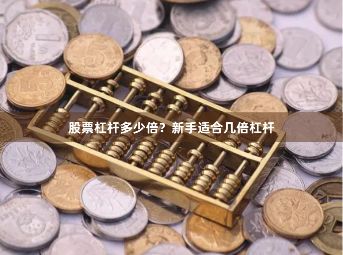 股票杠杆多少倍？新手适合几倍杠杆