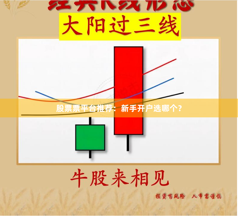 股票票平台推荐：新手开户选哪个？