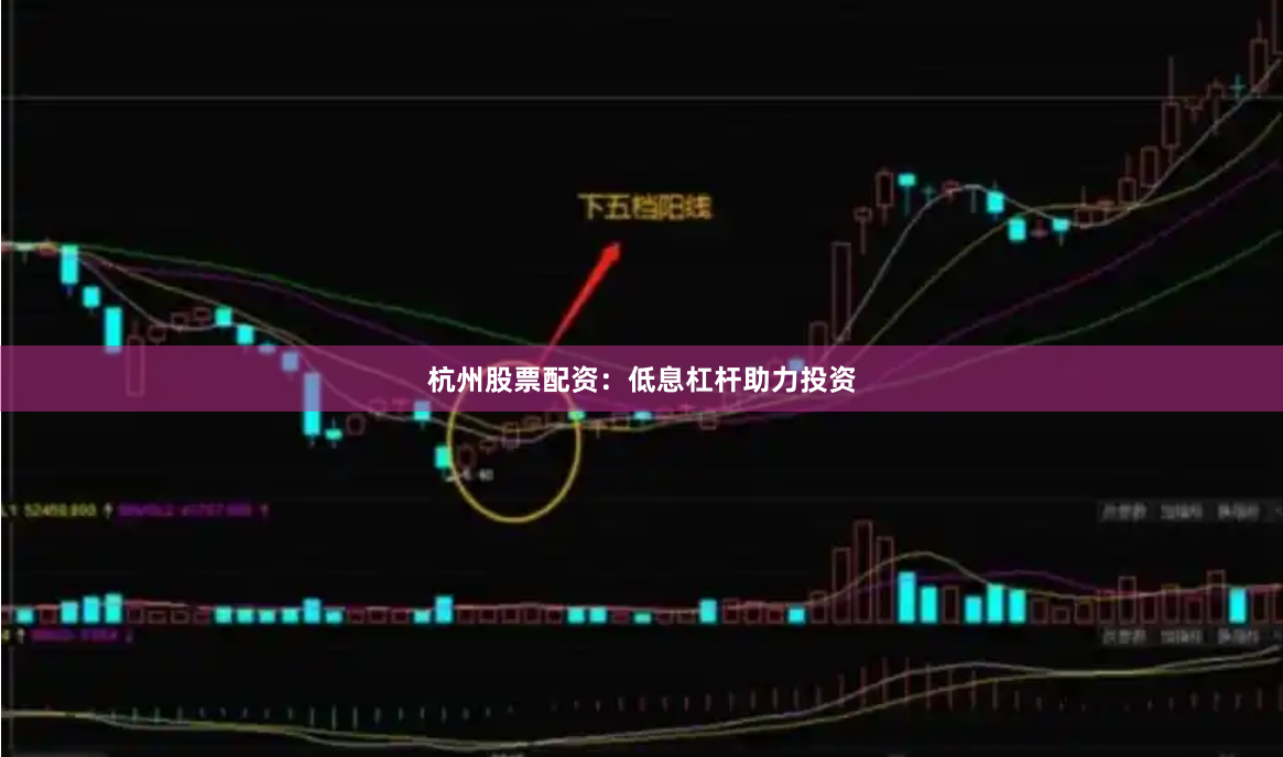 杭州股票配资：低息杠杆助力投资